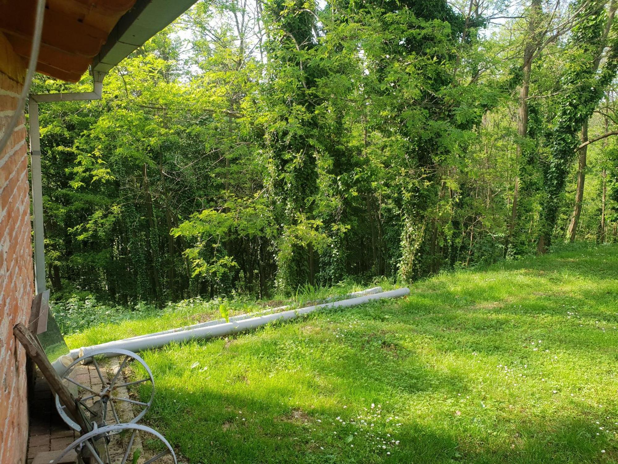 Ruralna Kuca Za Odmor Golub Villa Skaricevo Exterior foto